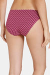 Zivame Anti-Microbial Low Rise Full Coverage Bikini Panty (Pack of 3) - Multicolor — thumbnail 5